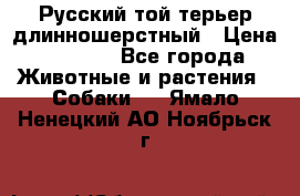 Русский той-терьер длинношерстный › Цена ­ 7 000 - Все города Животные и растения » Собаки   . Ямало-Ненецкий АО,Ноябрьск г.